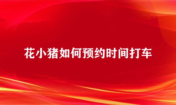 花小猪如何预约时间打车