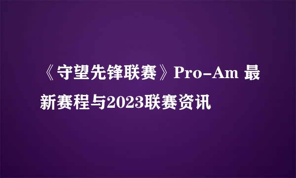 《守望先锋联赛》Pro-Am 最新赛程与2023联赛资讯