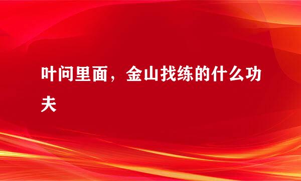 叶问里面，金山找练的什么功夫