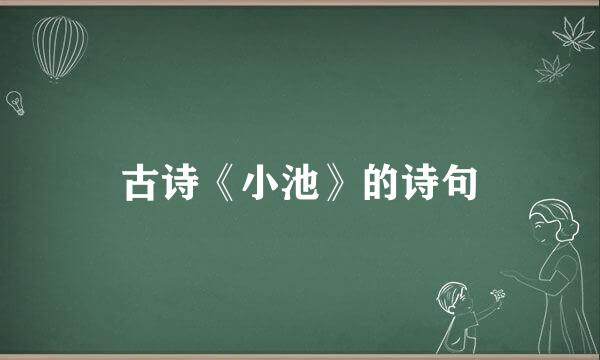古诗《小池》的诗句