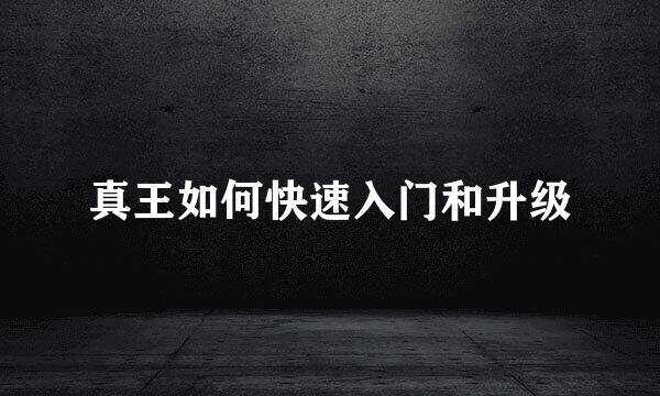 真王如何快速入门和升级