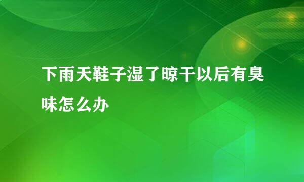 下雨天鞋子湿了晾干以后有臭味怎么办