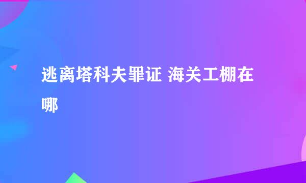 逃离塔科夫罪证 海关工棚在哪