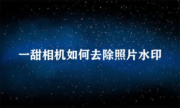 一甜相机如何去除照片水印