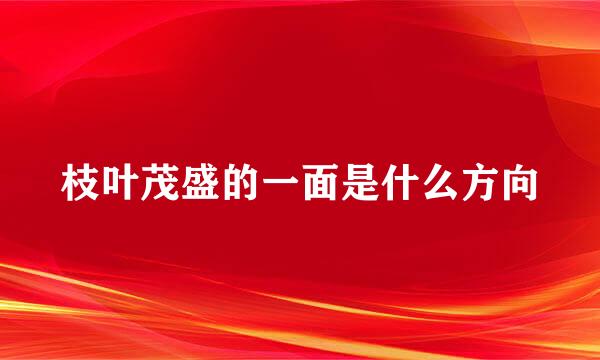 枝叶茂盛的一面是什么方向