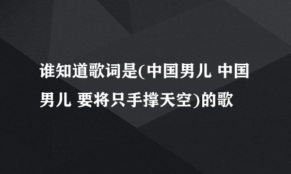 谁知道歌词是(中国男儿 中国男儿 要将只手撑天空)的歌
