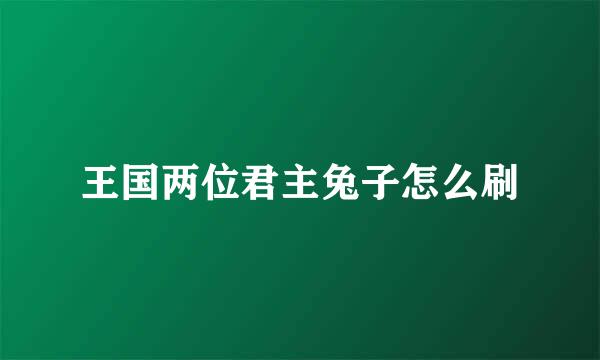 王国两位君主兔子怎么刷