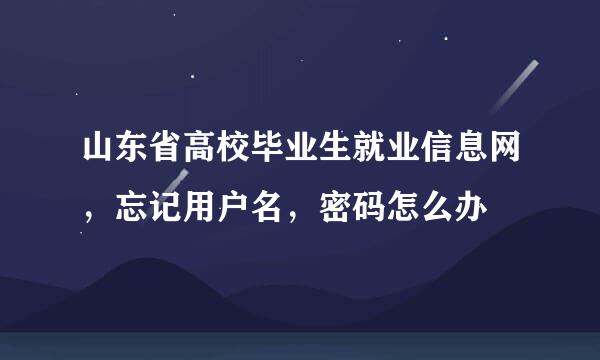 山东省高校毕业生就业信息网，忘记用户名，密码怎么办