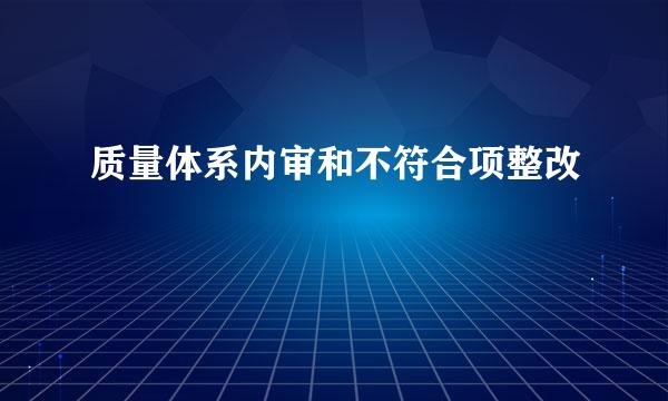 质量体系内审和不符合项整改