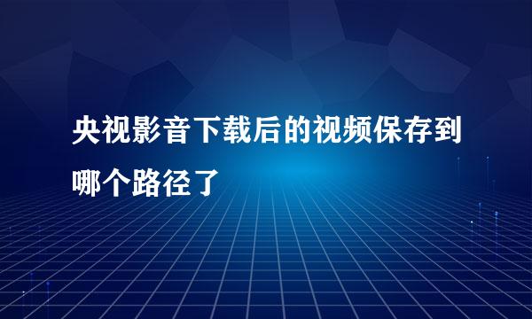 央视影音下载后的视频保存到哪个路径了