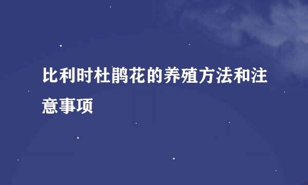 比利时杜鹃花的养殖方法和注意事项