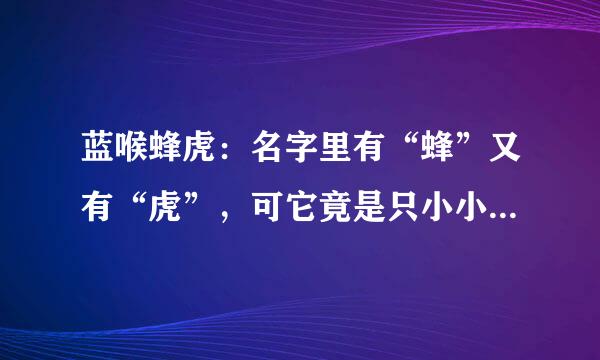 蓝喉蜂虎：名字里有“蜂”又有“虎”，可它竟是只小小小小鸟！