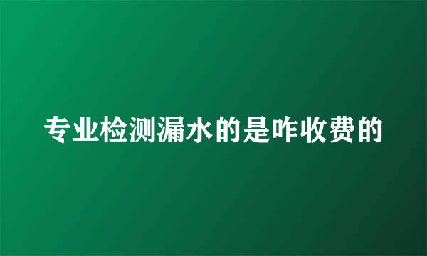 专业检测漏水的是咋收费的
