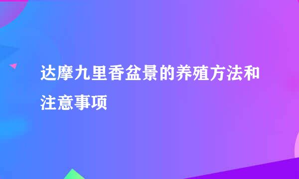 达摩九里香盆景的养殖方法和注意事项