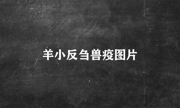 羊小反刍兽疫图片