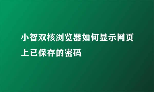 小智双核浏览器如何显示网页上已保存的密码