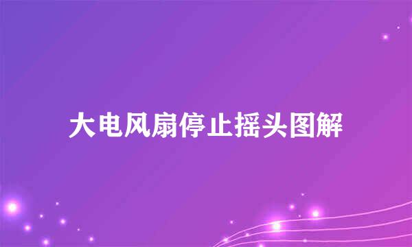 大电风扇停止摇头图解