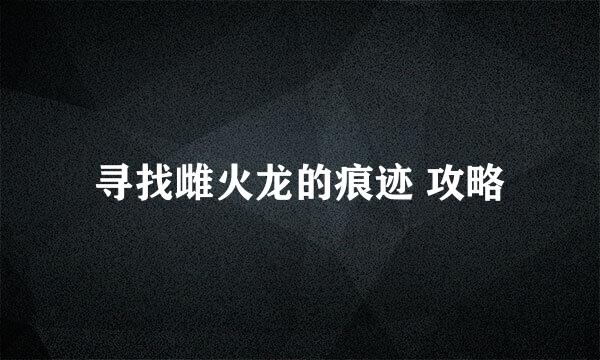 寻找雌火龙的痕迹 攻略