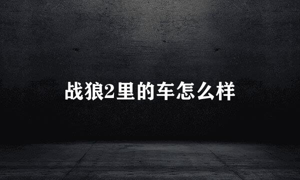 战狼2里的车怎么样