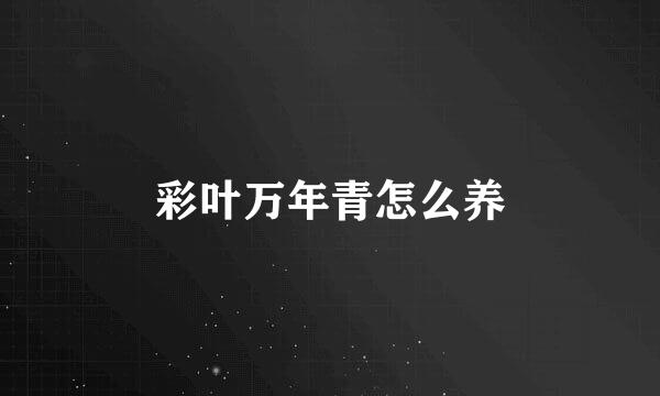 彩叶万年青怎么养