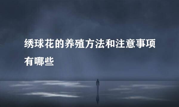 绣球花的养殖方法和注意事项有哪些