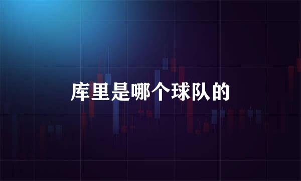 库里是哪个球队的