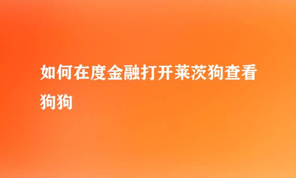 如何在度金融打开莱茨狗查看狗狗