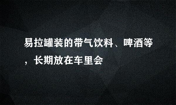 易拉罐装的带气饮料、啤酒等，长期放在车里会