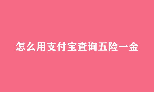 怎么用支付宝查询五险一金