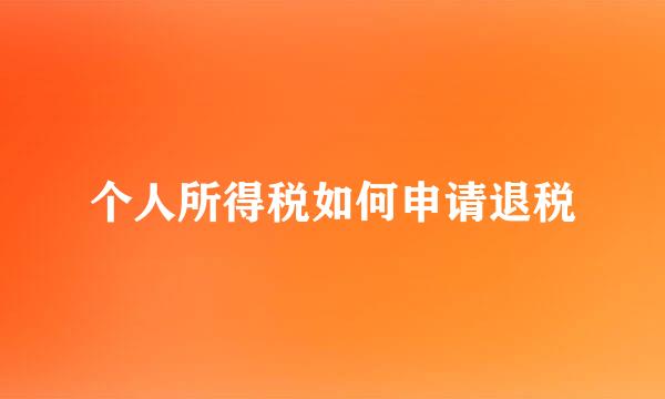 个人所得税如何申请退税
