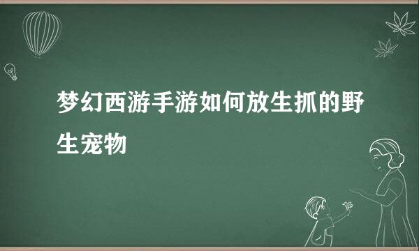 梦幻西游手游如何放生抓的野生宠物