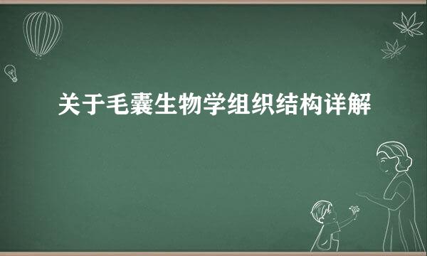 关于毛囊生物学组织结构详解