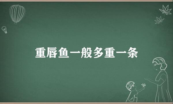 重唇鱼一般多重一条