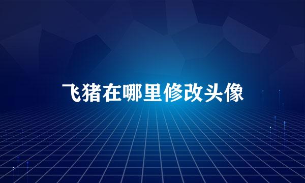 飞猪在哪里修改头像