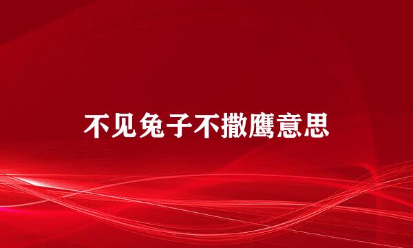 不见兔子不撒鹰意思