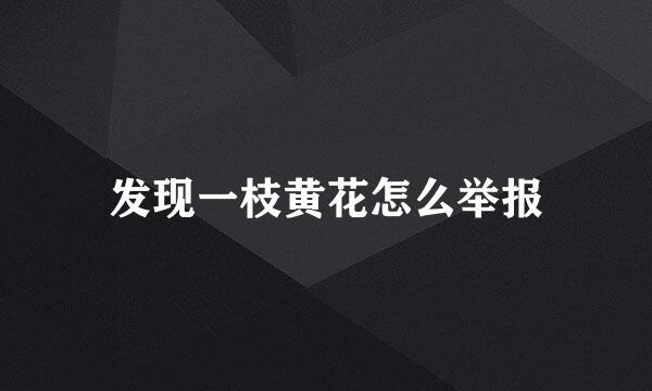 发现一枝黄花怎么举报