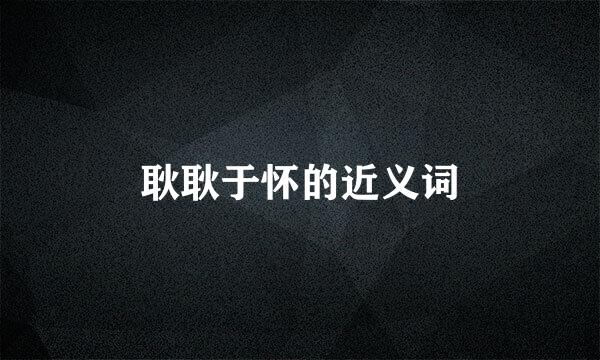 耿耿于怀的近义词