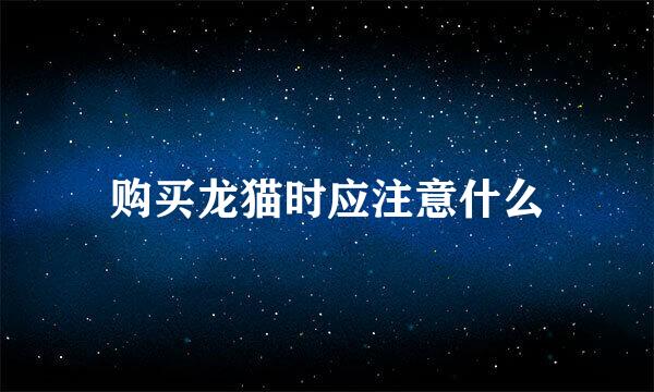购买龙猫时应注意什么