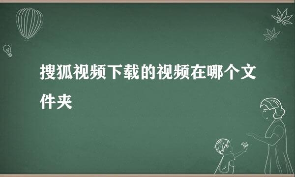 搜狐视频下载的视频在哪个文件夹