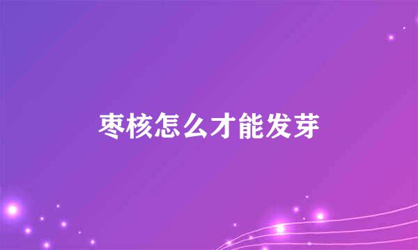 枣核怎么才能发芽