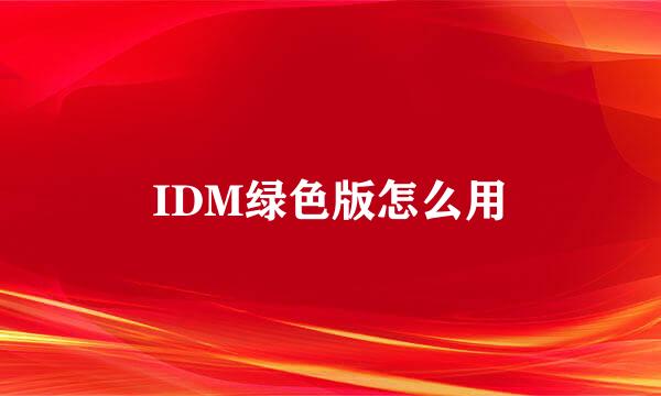 IDM绿色版怎么用