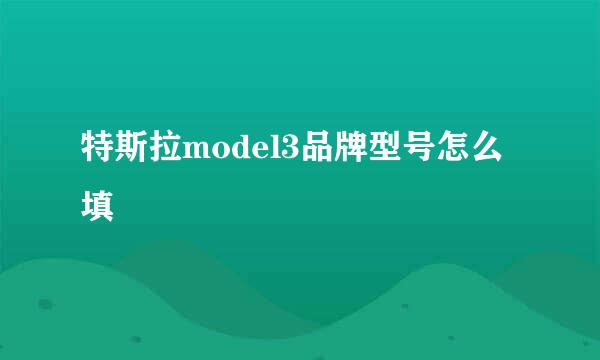 特斯拉model3品牌型号怎么填