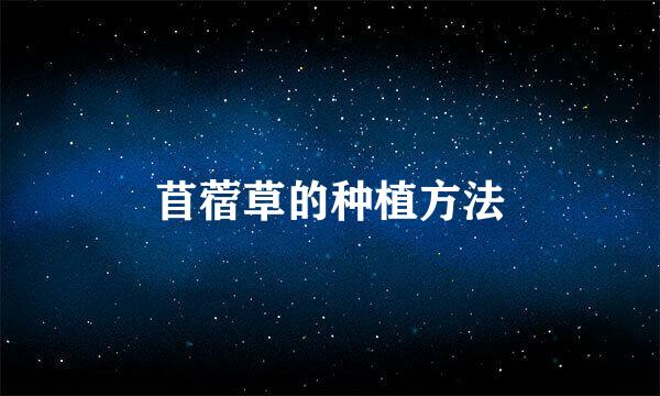 苜蓿草的种植方法