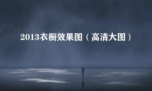 2013衣橱效果图（高清大图）