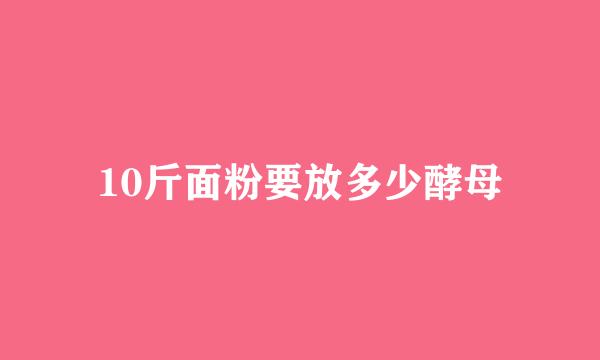 10斤面粉要放多少酵母
