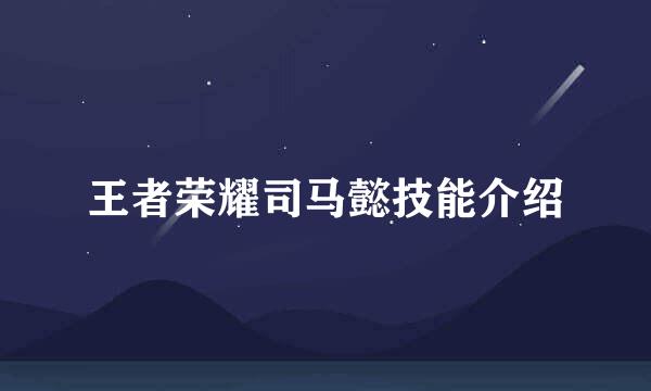 王者荣耀司马懿技能介绍