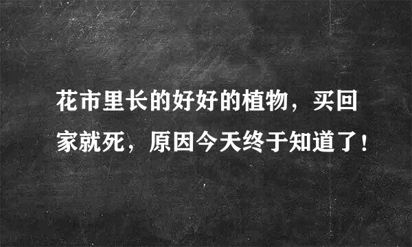 花市里长的好好的植物，买回家就死，原因今天终于知道了！