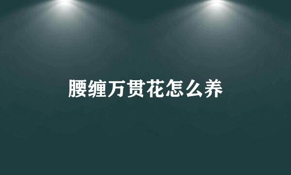 腰缠万贯花怎么养