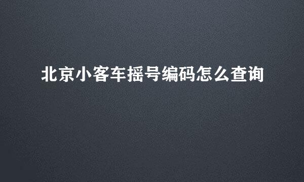 北京小客车摇号编码怎么查询