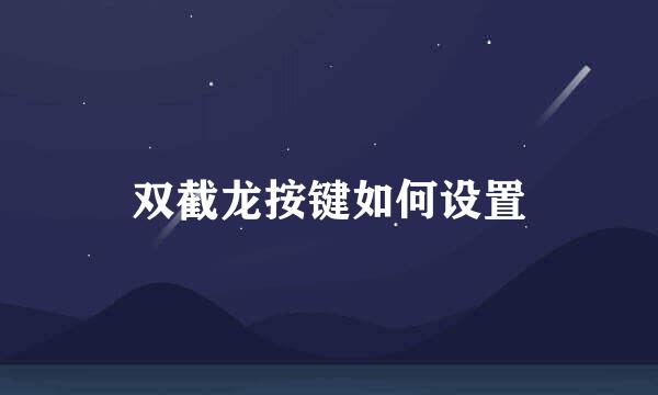 双截龙按键如何设置